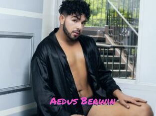 Aedus_Berwin