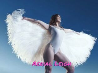 Aerial_Leigh