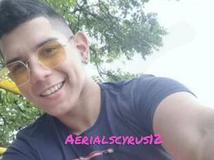 Aerialscyrus12