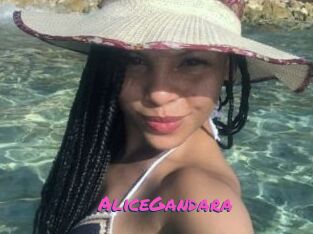 AliceGandara