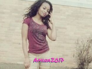 Amina2017