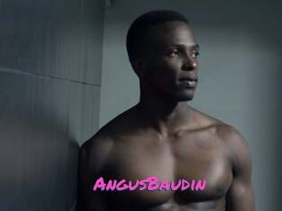 AngusBaudin