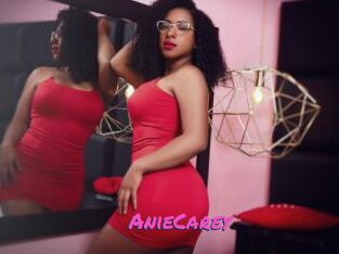AnieCarey
