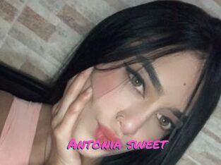 Antonia_sweet