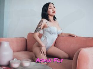 Asian_Fly