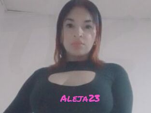 Aleja23