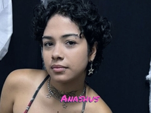 Anashus