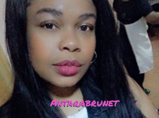 Antarabrunet