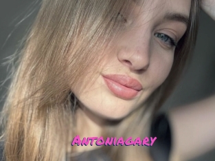 Antoniagary