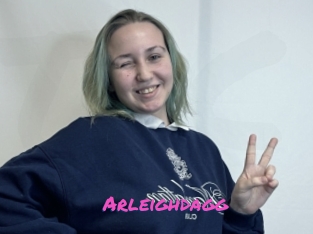 Arleighdagg