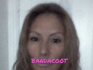 BANDACOOT