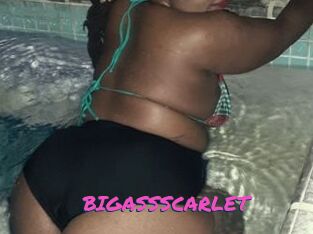 BIGASSSCARLET