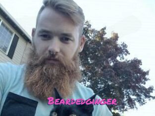 Beardedginger