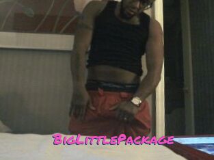 BigLittlePackage