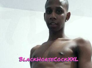 BlackHorseCockXXL