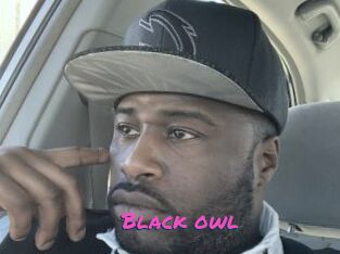 Black_owl