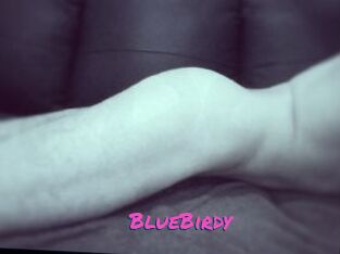 BlueBirdy