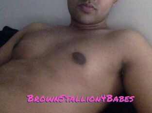 BrownStallion4Babes