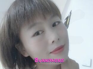 Bunnyhere