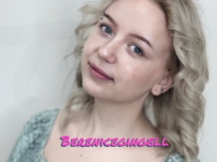 Berenicegingell