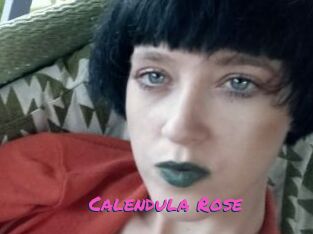 Calendula_Rose