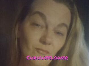 Curiousflower