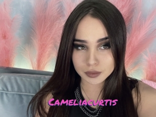 Cameliacurtis