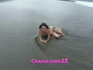 Canariona23