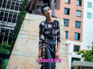 Cenobite