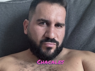 Chacales