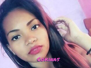 Cokinas