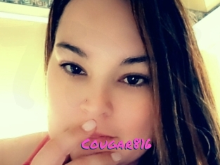 Cougar816