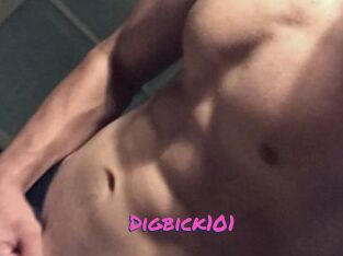 Digbick101