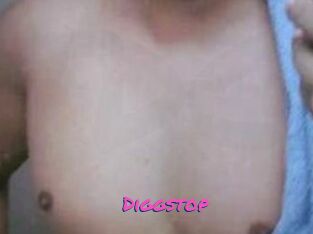 Diggstop
