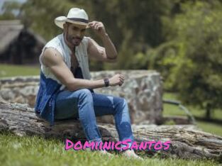 DomiinicSantos
