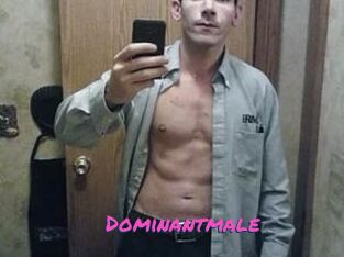 Dominantmale