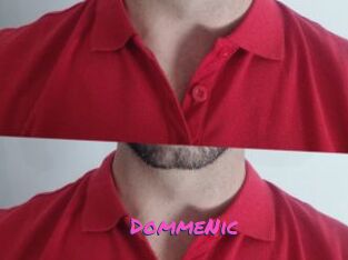 DommeNic