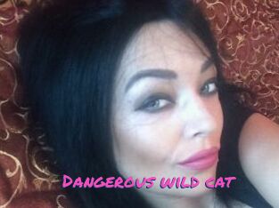 Dangerous_wild_cat