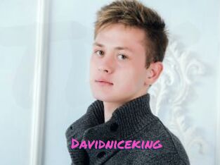 Davidniceking
