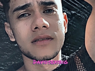 Davidsexibig
