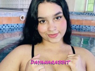 Dayanarabbit