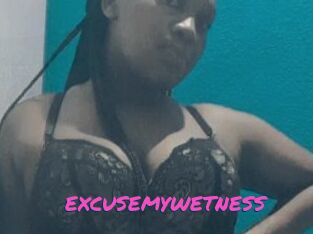 EXCUSEMYWETNESS