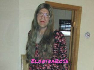 Elantra_Rose