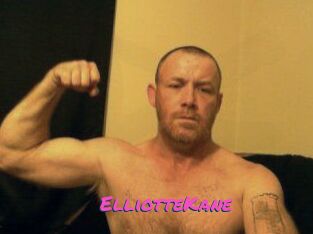 Elliotte_Kane