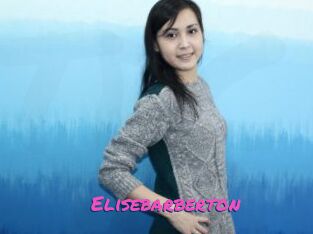 Elisebarberton
