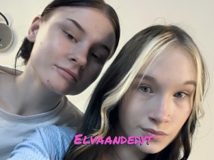 Elvaandedyt
