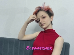 Elvaatcher