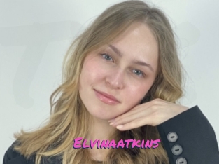 Elvinaatkins