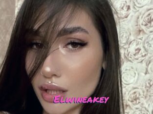 Elwineakey