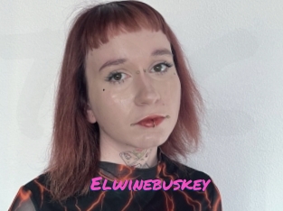 Elwinebuskey